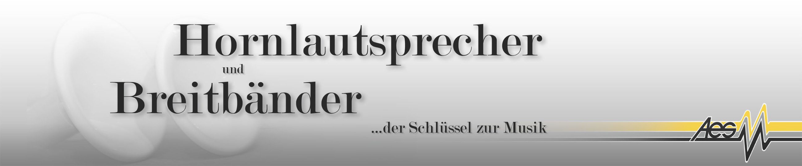 Hornlautsprecher und Breitbänder sind die perfekten Schallwandler für hochwertige Musikwiedergabe, egal ob Klassik, Jazz, Pop, Rock oder Techno.